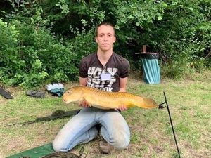 Grass Carp
