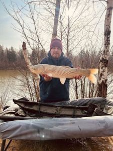 Grass Carp