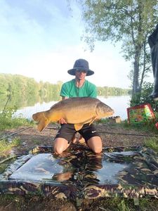 Mirror Carp