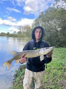 Northern Pike