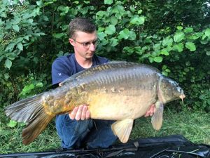 Mirror Carp