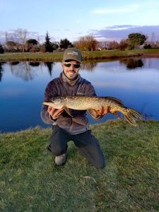 Northern Pike