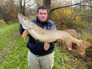 Northern Pike