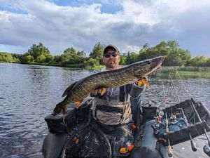 Northern Pike