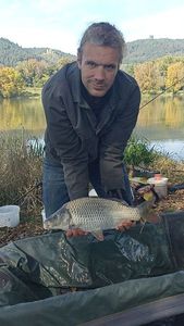 Common Carp