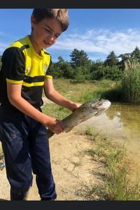 Largemouth Bass