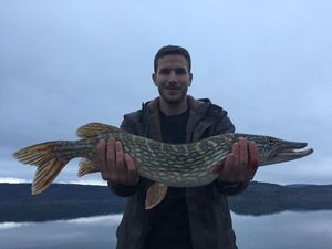 Northern Pike
