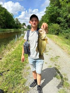 Largemouth Bass