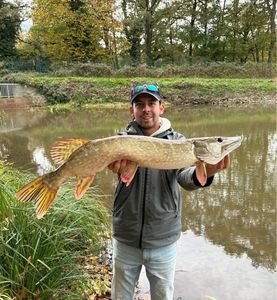 Northern Pike