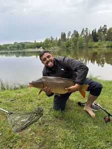 Common Carp