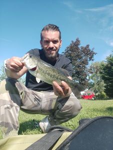 Largemouth Bass