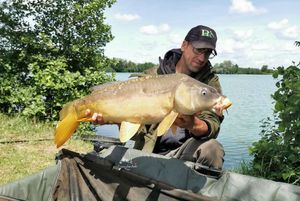 Mirror Carp