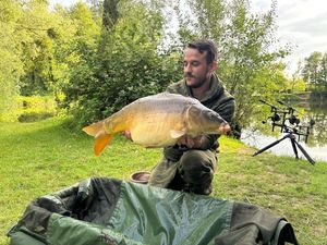 Mirror Carp