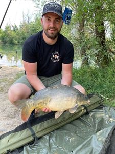 Mirror Carp