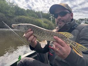 Northern Pike
