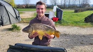 Mirror Carp