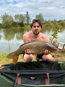 Common Carp