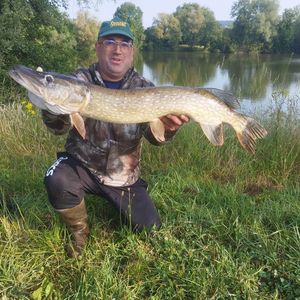 Northern Pike