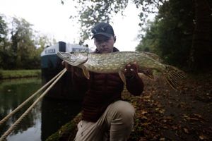 Northern Pike