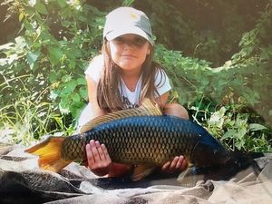 Common Carp