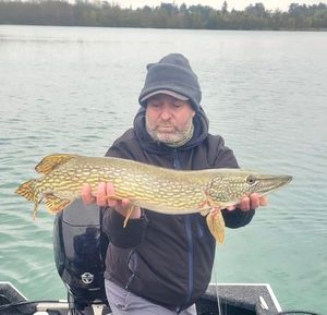 Northern Pike