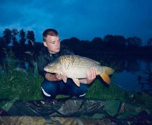 Common Carp