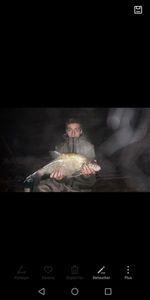 Common Bream