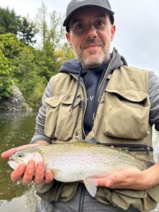 Rainbow Trout
