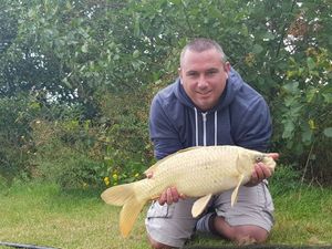 Common Carp