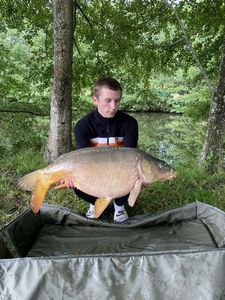 Mirror Carp