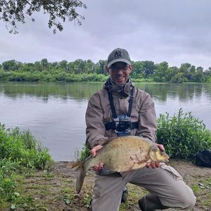 Common Bream