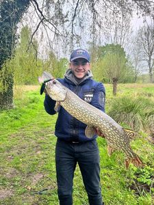 Northern Pike