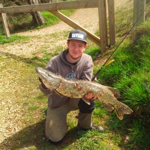Northern Pike
