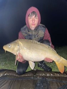 Mirror Carp