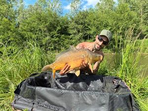Mirror Carp