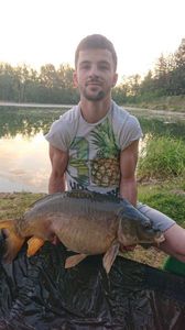 Mirror Carp