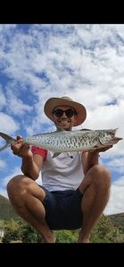 Wahoo