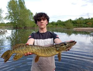 Northern Pike