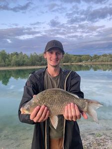 Common Bream