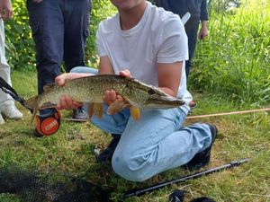Northern Pike