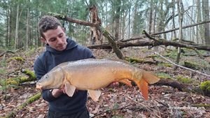 Mirror Carp