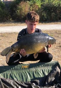 Common Carp