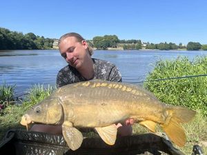 Mirror Carp
