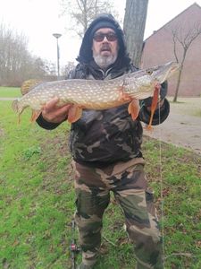 Northern Pike