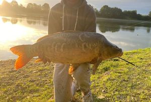 Mirror Carp