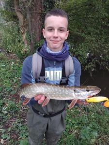Northern Pike