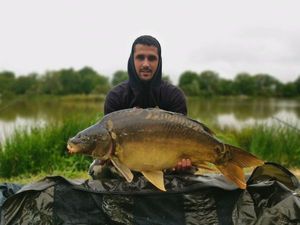 Mirror Carp
