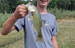 Largemouth Bass