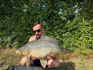 Mirror Carp