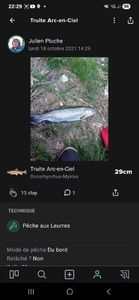 Rainbow Trout
